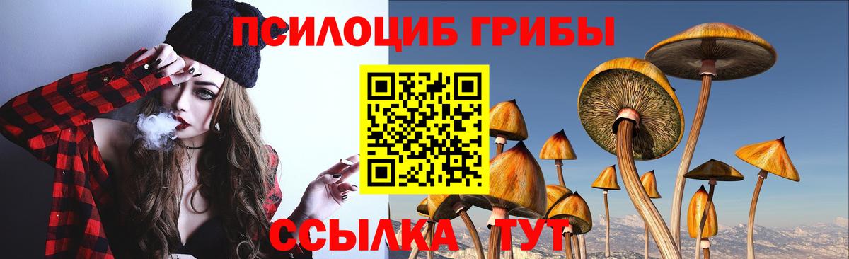 Кизляр  Псилоцибиновые грибы MAGIC MUSHROOMS  Вход с VPN 